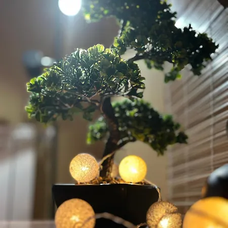 شقة Timea B 201 *