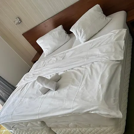 Timea B 201 ヴェルカー・ロムニツァ