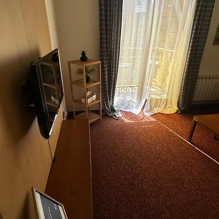 Timea B 201 * ヴェルカー・ロムニツァ