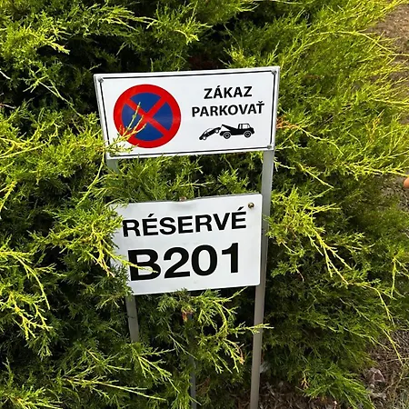 Timea B 201 فيلكا لومنيكا