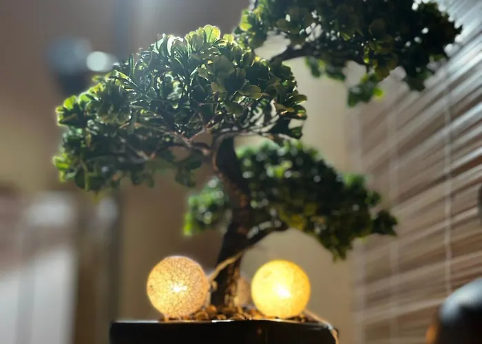 Appartement Timea B 201 *