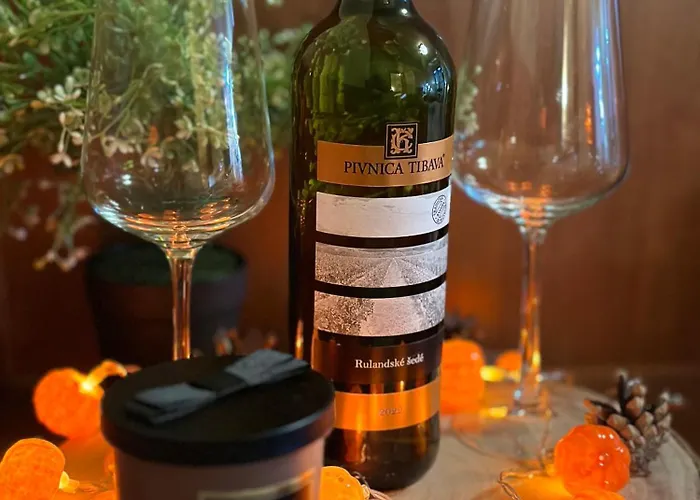 Appartement Timea B 201 *